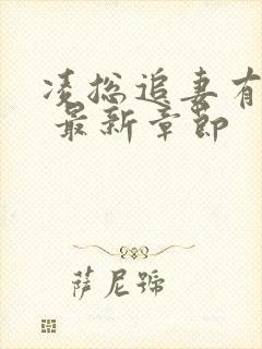 凌总追妻有点甜 最新章节