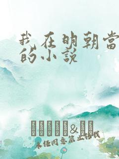 我在明朝当暴君的小说