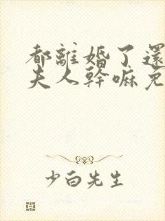 都离婚了还叫我夫人干嘛免费阅读