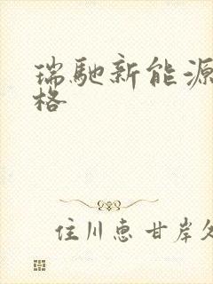 瑞驰新能源车价格