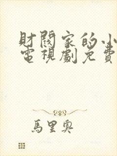 财阀家的小儿子电视剧免费观看