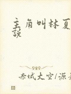 主角叫林夏的小说