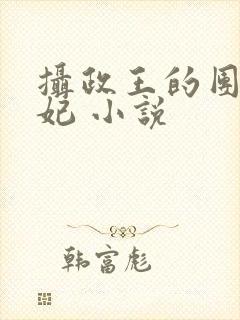 摄政王的团宠医妃 小说