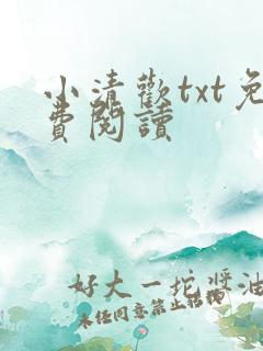 小清欢txt免费阅读