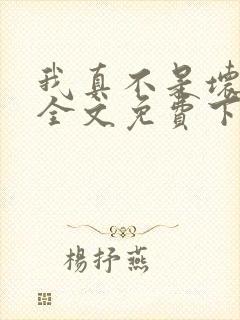 我真不是坏男人全文免费下载