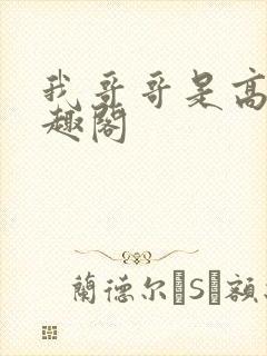 我哥哥是高欢笔趣阁