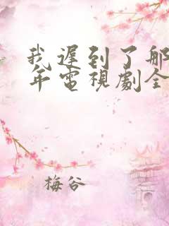 我迟到了那么多年电视剧全集免费观看