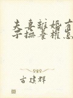 夫妻离婚有俩孩子抚养权怎么判定