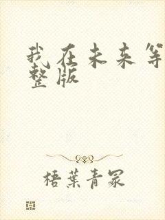 我在未来等你完整版