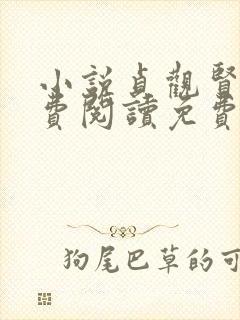 小说贞观贤王免费阅读免费