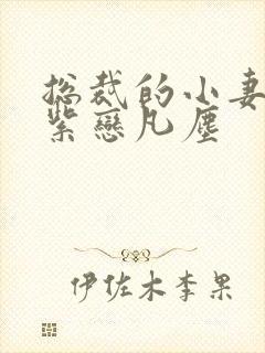 总裁的小妻子 紫恋凡尘