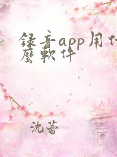 录音app用什么软件