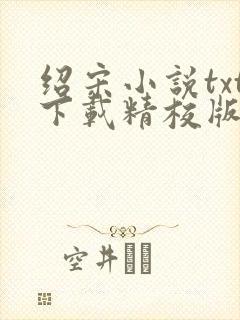 绍宋小说txt下载精校版