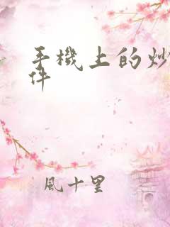 手机上的炒股软件