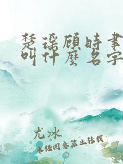 楚瑶顾时聿小说叫什么名字