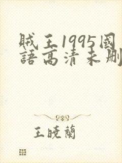 贼王1995国语高清未删减版137分钟免费观看