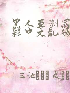 黑人亚洲国产精彩中文乱码av