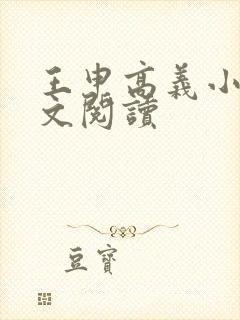 王申高义小说全文阅读