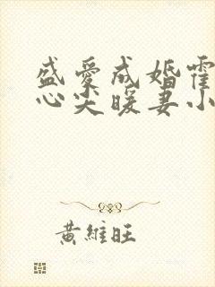 盛爱成婚霍少的心尖暖妻小说