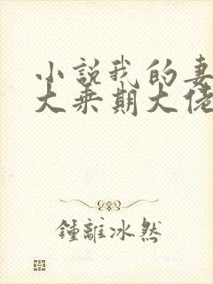 小说我的妻子是大乘期大佬全集