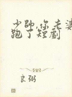 少帅,你老婆又跑了短剧