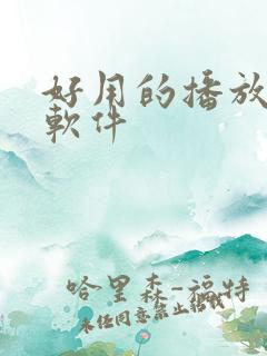 好用的播放视频软件