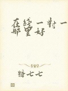 在线一对一外教哪里好