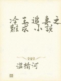 冷王追妻之医妃难求 小说