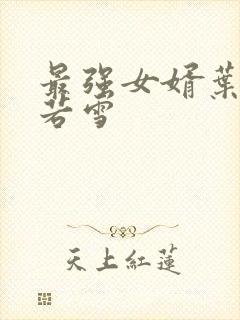 最强女婿叶凡唐若雪