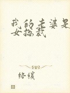 我的老婆是冰山女总裁