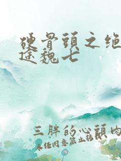 硬骨头之绝地归途魏七