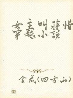 女主叫蒋惜纯的穿越小说