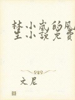 林小岚的风流人生小说免费阅读