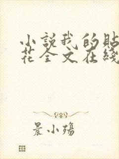 小说我的贴身校花全文在线阅读