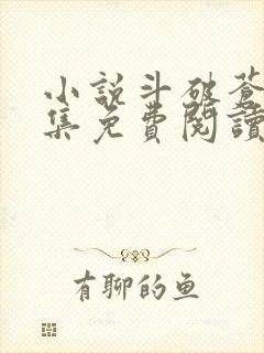 小说斗破苍穹全集免费阅读