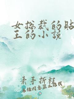 女总裁的贴身兵王的小说