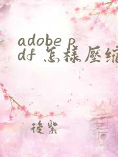 adobe pdf 怎样压缩文件大小