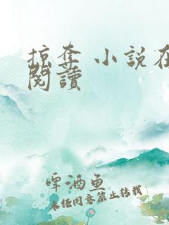 掠夺 小说在线阅读