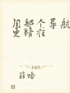 用那个导航地图更精准