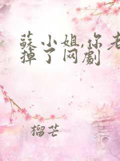 苏小姐,你老公掉了网剧