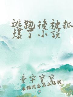 逃跑后被抓回来爆了小说