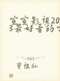 宣宣影视2023最好看的电视剧