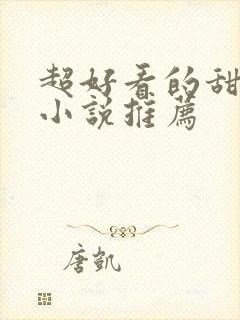 超好看的甜宠文小说推荐