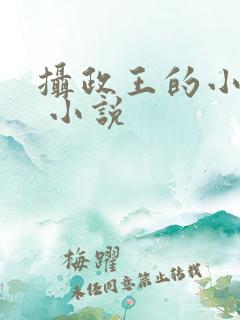 摄政王的小闲妻 小说