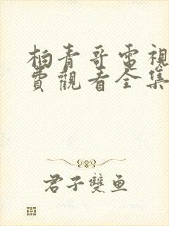 柏青哥电视剧免费观看全集高清