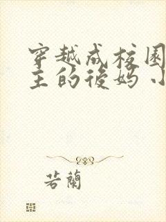 穿越成校园文男主的后妈 小说