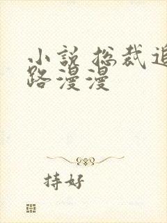 小说 总裁追妻路漫漫