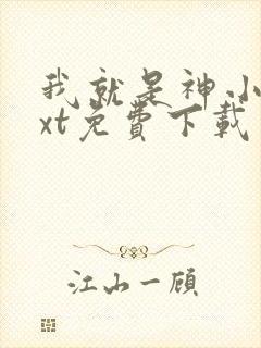 我就是神小说txt免费下载