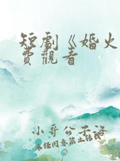 短剧《婚火》免费观看