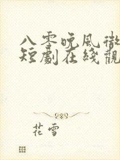 八零晚风微微甜短剧在线观看